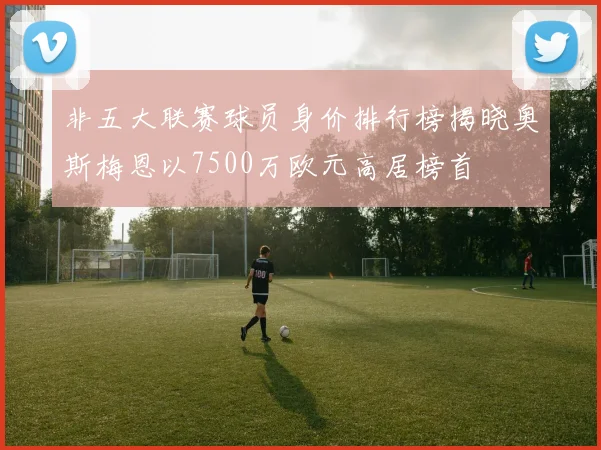 非五大联赛球员身价排行榜揭晓奥斯梅恩以7500万欧元高居榜首