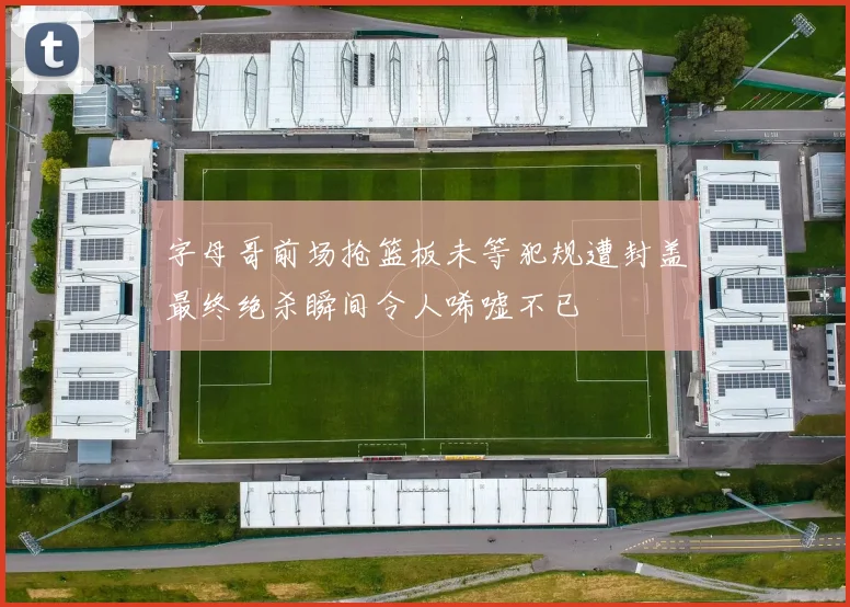 字母哥前场抢篮板未等犯规遭封盖最终绝杀瞬间令人唏嘘不已