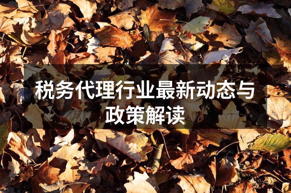 税务代理行业最新动态与政策解读