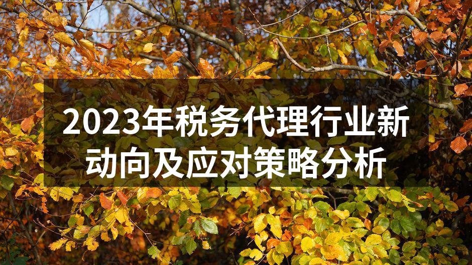 税务代理行业新政策解读