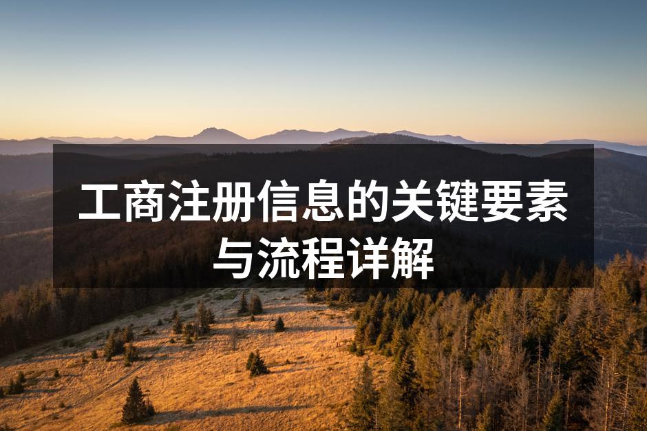 工商注册流程示意图