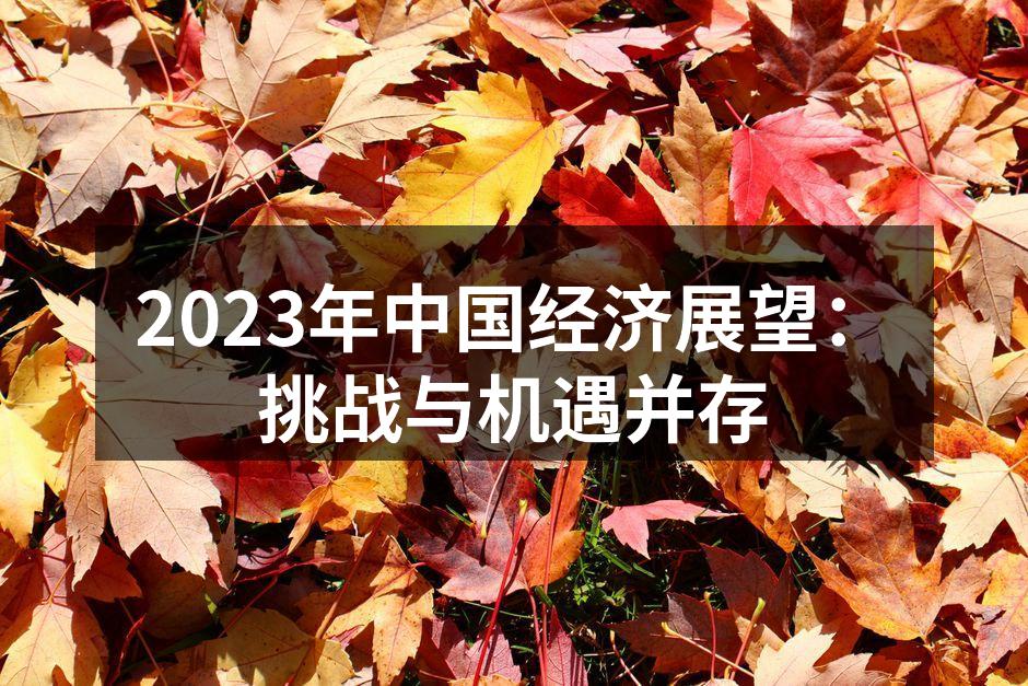 经济复苏之路